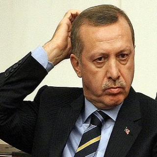 ocetayyip Profile Picture